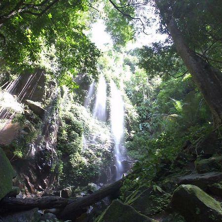 Belum Rainforest Resort Gerik Exteriör bild