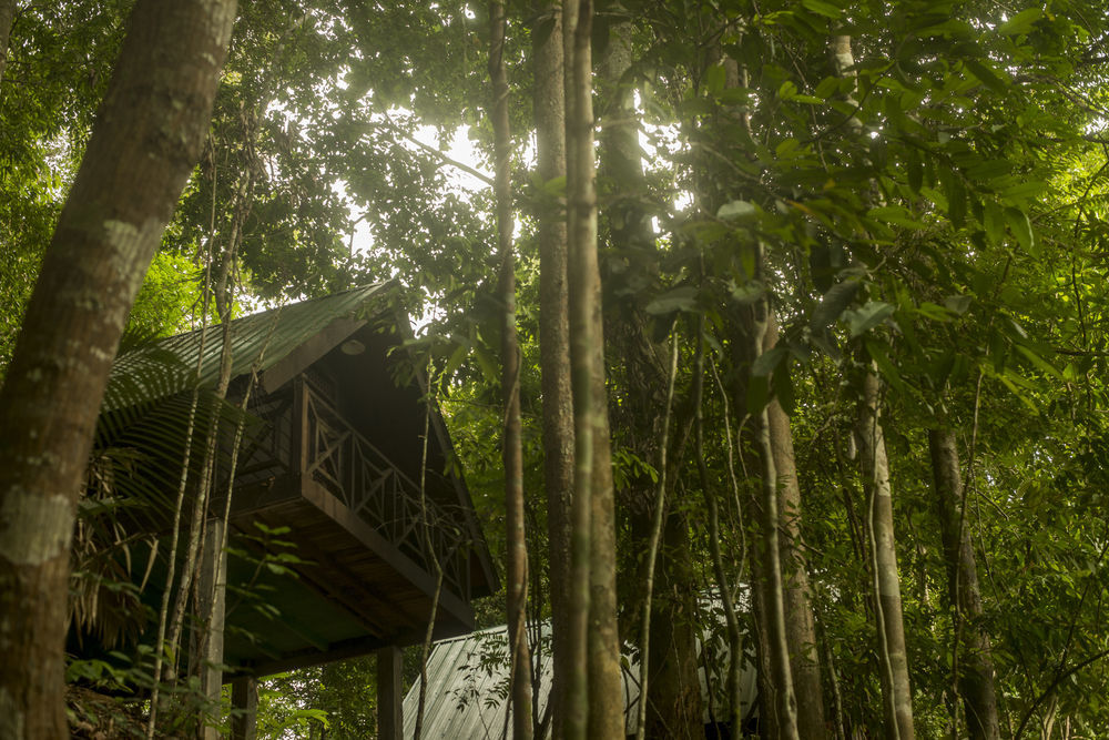 Belum Rainforest Resort Gerik Exteriör bild