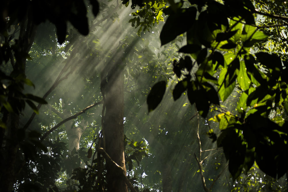 Belum Rainforest Resort Gerik Exteriör bild