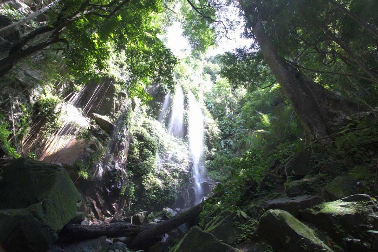 Belum Rainforest Resort Gerik Exteriör bild